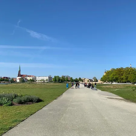 Taubenstern